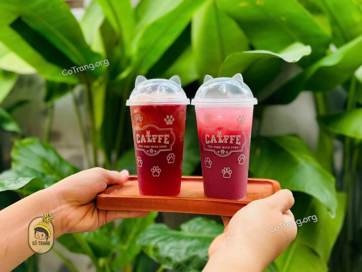 Catffee - 11 Nguyễn Thiện Thuật, Đà Nẵng 