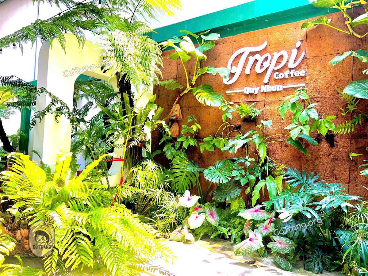 Tropi Coffee Quy Nhơn - Quán Cafe Sân Vườn Đẹp, Menu, Review