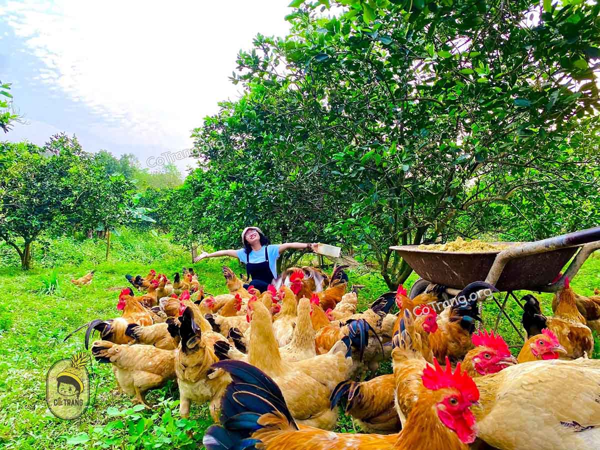 Không gian thực tế tại Nhà Hàng Mẹt Gà Nhị Nguyễn