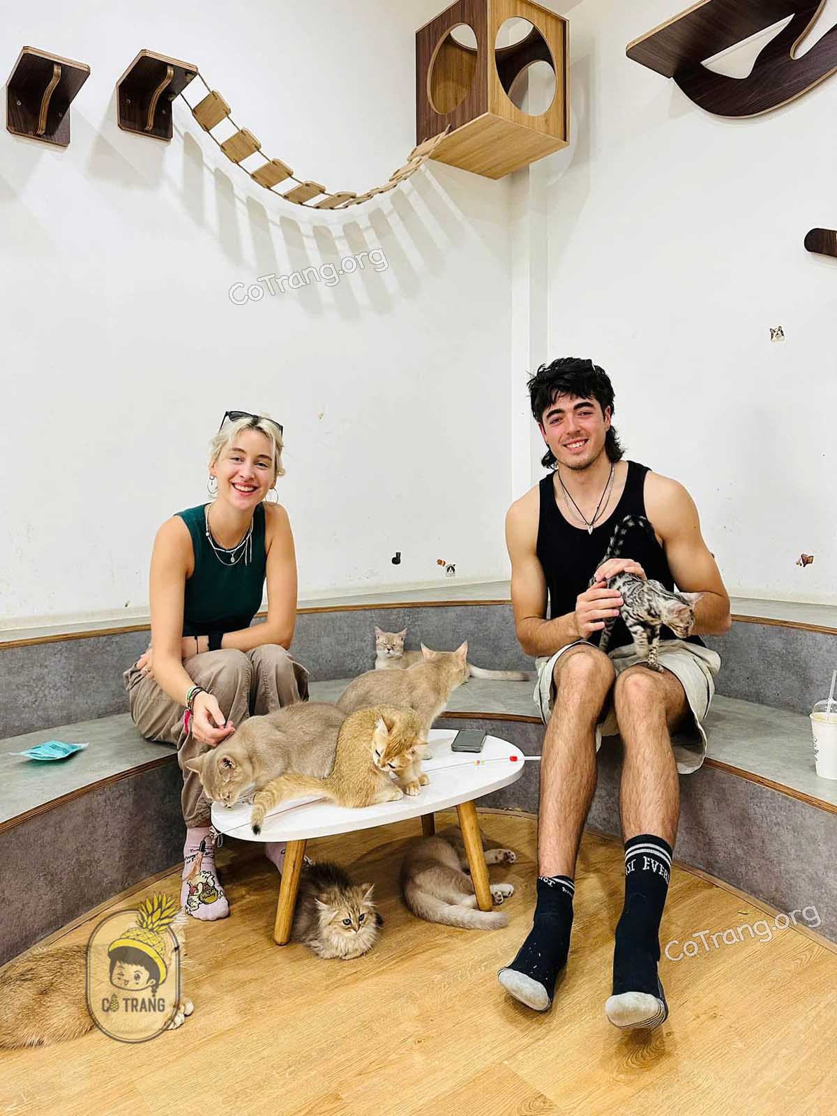 Catffee - 11 Nguyễn Thiện Thuật, Đà Nẵng 