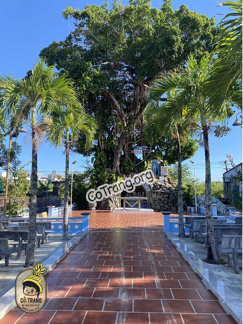 nhà thờ giáo xứ cồn dầu đà nẵng