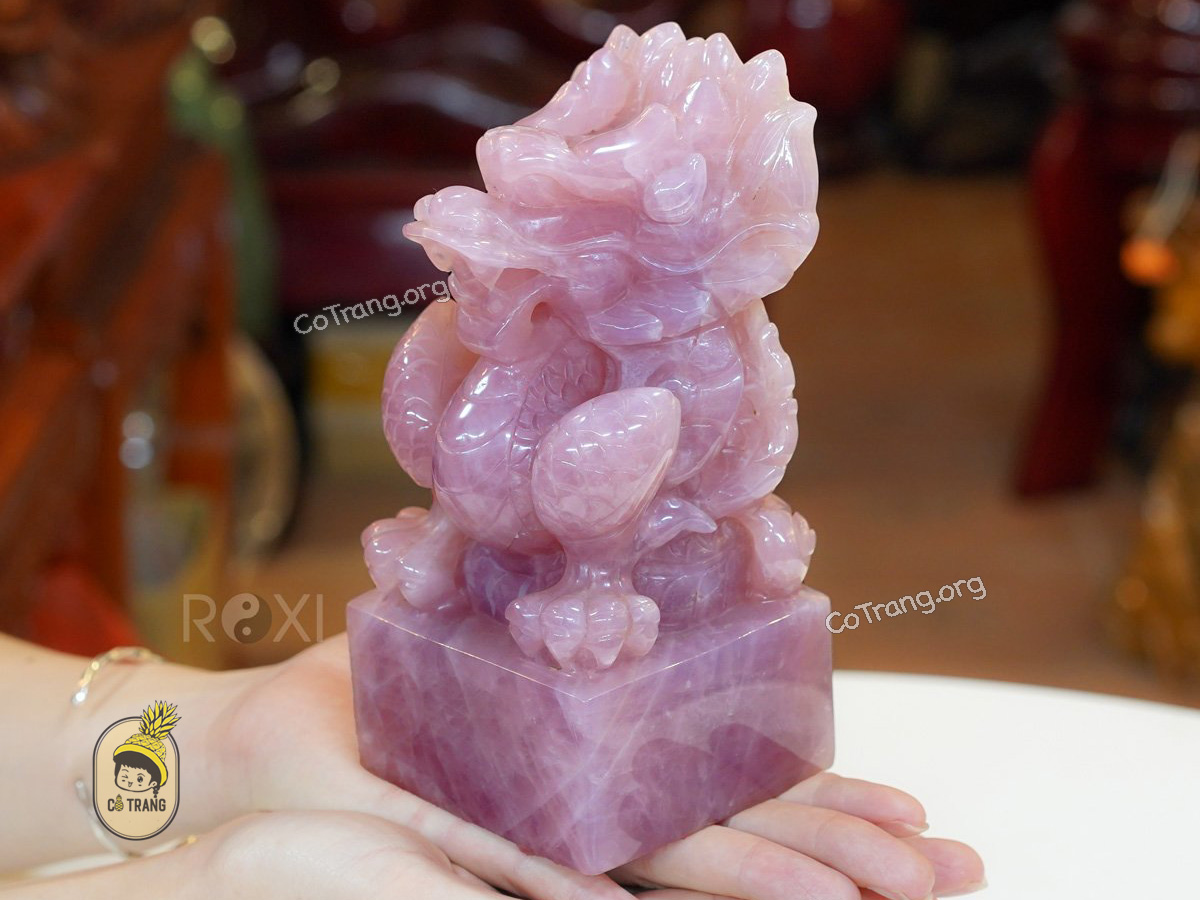 Phong thuỷ ROXI - 141 Lương Thế Vinh