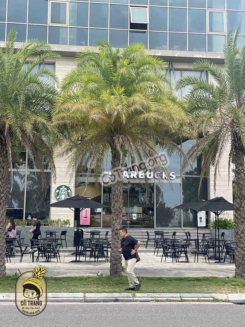 starbucks 50 bạch đằng đà nẵng