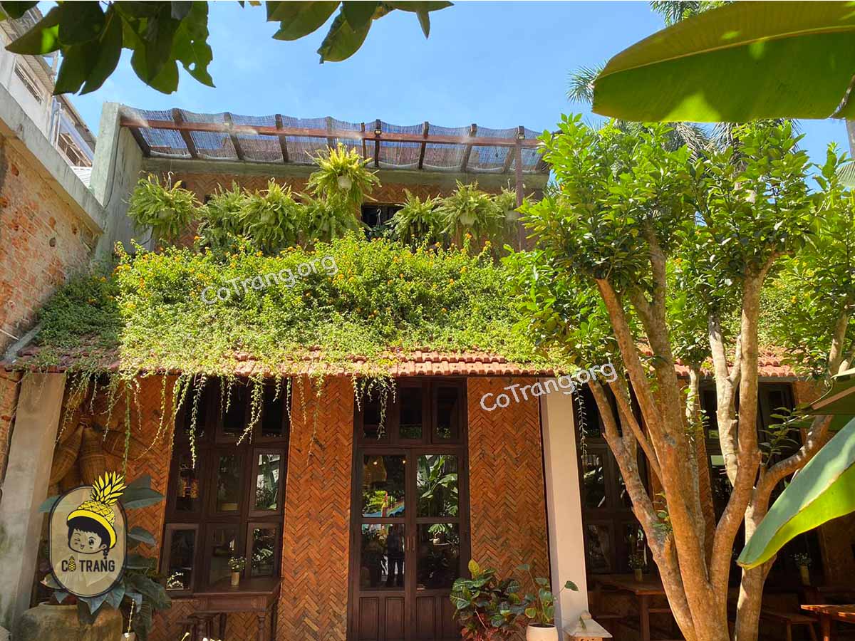 3. Sangha - Vegetarian Restaurant - 84 Hoàng Văn Thụ