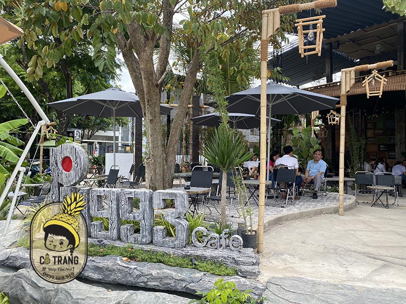 pi 1993 cafe hoa xuan