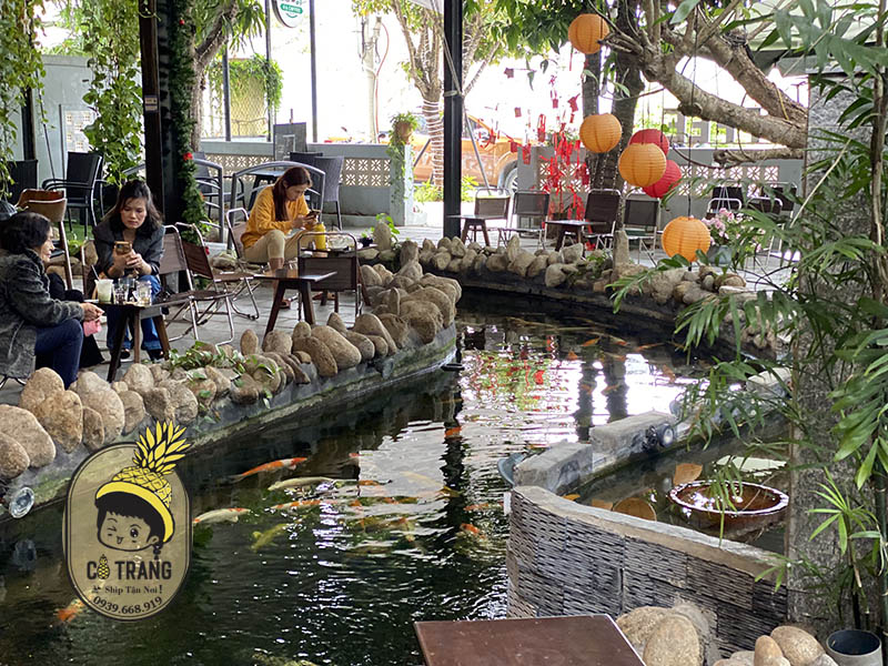 hạ coffee hoà xuân