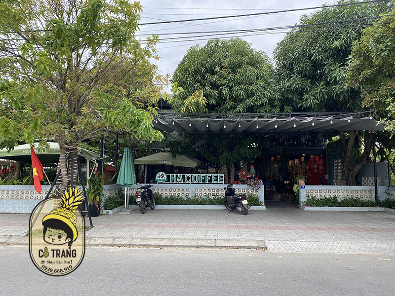 hạ coffee hoà xuân